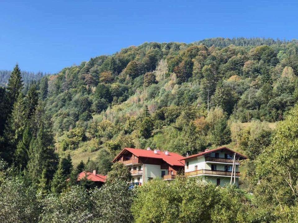 Hotel Лісова Казка Slavske Exterior foto